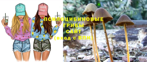ECSTASY Абаза
