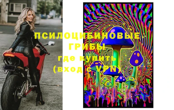ECSTASY Абаза