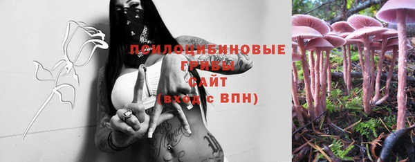 ECSTASY Абаза