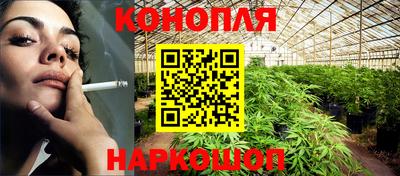 СК Обь