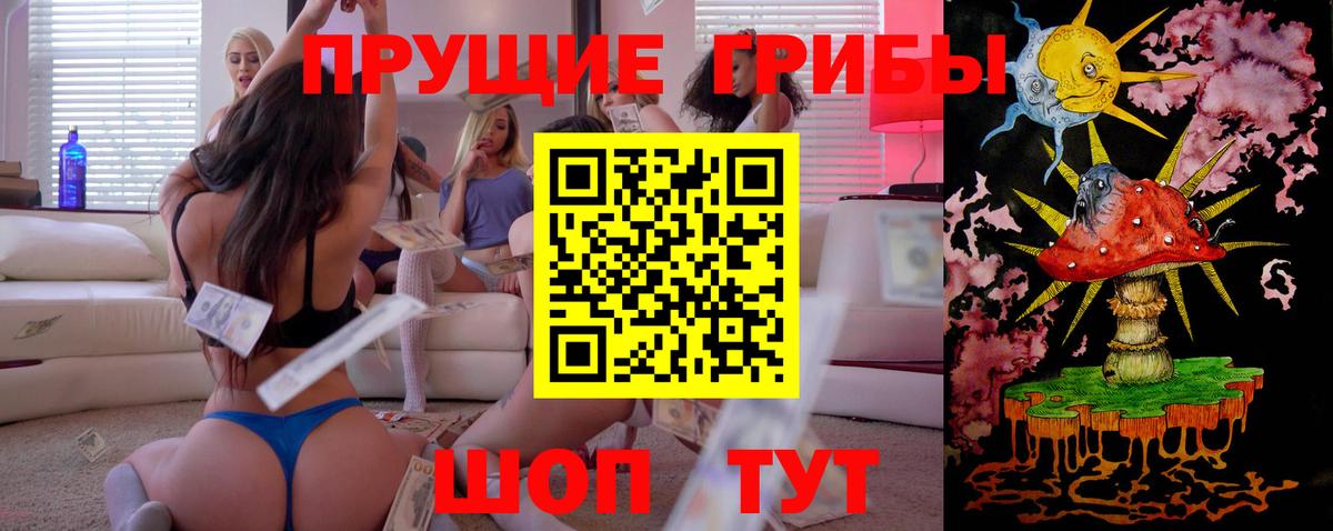 Черемхово  Галлюциногенные грибы Psilocybe  Вход с VPN 