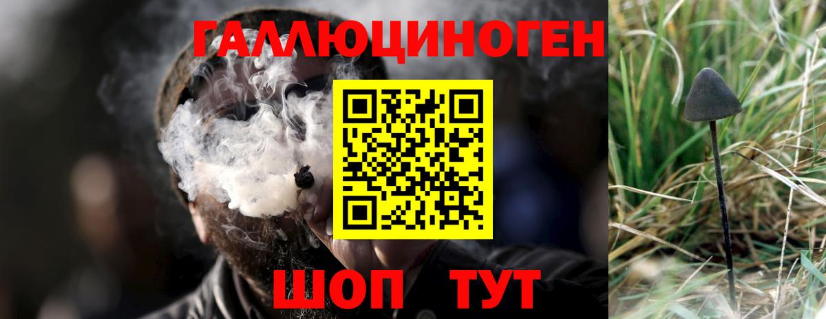 Галлюциногенные грибы Cubensis Черемхово